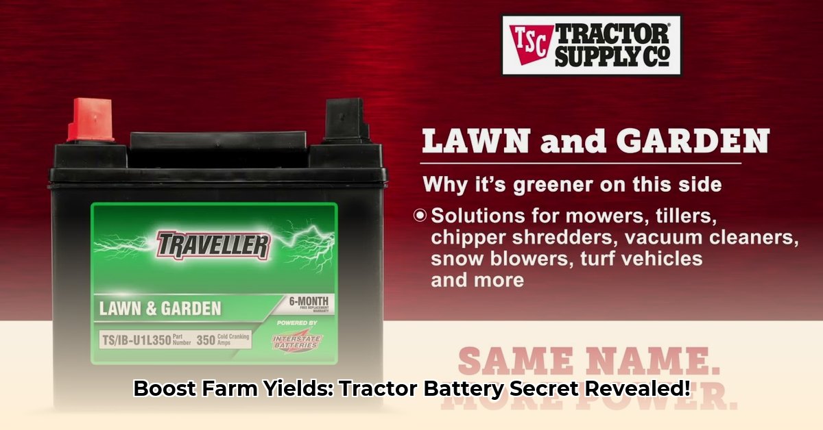 tractor-supply-auto-batteries
